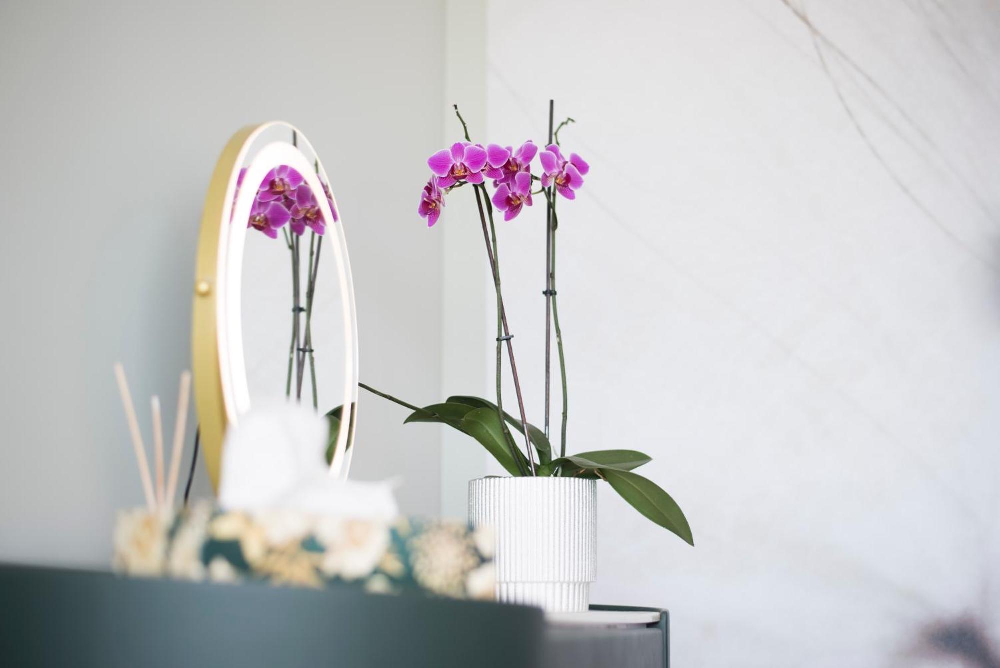 Horizont Apartman Alsoors Ngoại thất bức ảnh